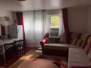 Hotels in Baile Govora